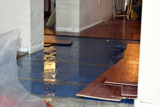 Professional Basement Flood Cleanup technician working in Marblemount, WA